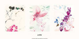 L' Ete Prints by Victoria Purver