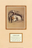 Dog's Life I Poster by Mac 
