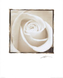 Rosa Kunstdrucke von Angelos Zimaras