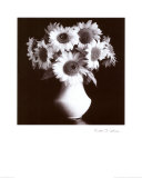 Tournesols Affiches par Kristin Cooke