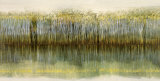 Riverbank Reflections Posters by Robert Holman