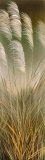 Whispers in the Wind I Pôsteres por Robert Holman