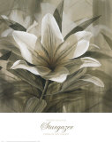 Stargazer Posters by Robert Holman
