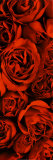 Serenity Posters by Sophia Legrand