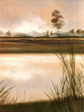 Grassland Posters by Robert Holman