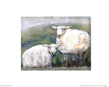 Sheep Art by Silvana Crefcoeur Sheep Art by Silvana Crefcoeur