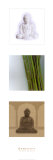 Serenidad Póster Serenidad Póster