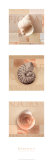 Serenity Posters Serenity Posters