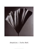 Enkelhet Posters av Trefor Ball Enkelhet Posters av Trefor Ball