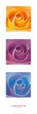 Flower Power Poster