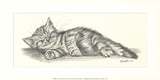 Lazy Days III Posters by Steve O'Connell