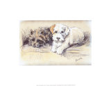 Deux bons amis Posters par Mac 