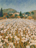 Farm Near Guillaumes Posters av Hazel Barker Farm Near Guillaumes Posters av Hazel Barker