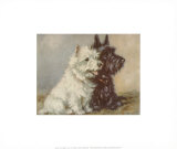 Scotch Terriers Art Print