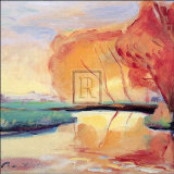 Reflets sur la rivière Affiches par Gerry Baptist