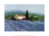 Linière, Provence Affiches par Hazel Barker