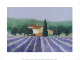 Lavender Field Near St Tropez Print by Hazel Barker