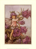 The Canterbury Bell Fairy Posters by Cicely Mary Barker