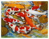 Koi Posters by B. Lee