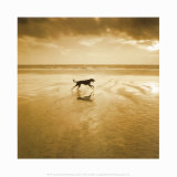 Dog on the Beach, West Wittering Prints by Jo Crowther