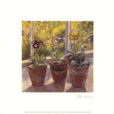 Pansies in Flower Pots Prints by J. Morley