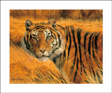 Savannah Alert Print by Spencer Hodge