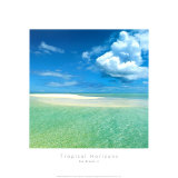 Tropical Horizons IV Posters