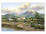 The Shore Prints by Wendy Reeves