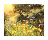 Golden Sunset Prints by Mary Dipnall