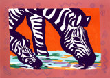 Jeune zèbre Affiches par Gerry Baptist