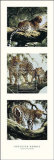 Light and Shade I Prints by Spencer Hodge