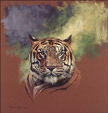 Tiger Prints by Stan Kaminski