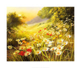 Evening Sun Prints by Mary Dipnall