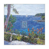 Les Aloes du Cap Poster by T. Forgione Les Aloes du Cap Poster by T. Forgione