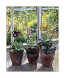 Quatre pots d'auriculas Posters par J. Morley