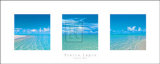 Tropical Skies Prints by Pierre Lapin