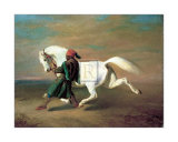 La fierté du Pasha Affiches par Alfred De Dreux