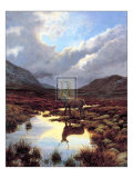 Mountain Mirror Print by Elizabeth Halstead