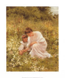 Picking Daisies Posters by Hermann Seeger
