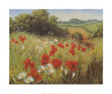 Prairie ensoleillée Poster par Mary Dipnall