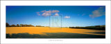 Great Meadow Posters by Chris Simpson