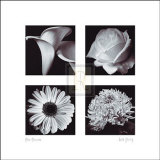 Vier Blumen Poster von Bill Philip