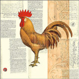 Poulet de Champagne II Prints by Pierre Lapin