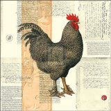 Poulet de Champagne I Print by Pierre Lapin
