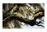 Leopardos centinelas Arte por Spencer Hodge