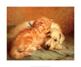 Kitten and Puppy Prints by J Marshall