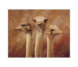 Three's a Crowd Kunstdrucke von H. Van Zanten