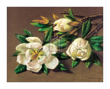 Magnolias Art par Vladimir Tretchikoff