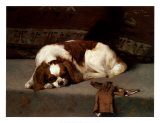 King Charles Spaniel Resting Prints by F. Hall