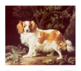 King Charles Spaniel Arte por George Stubbs